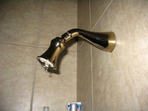 Leaking Shower Head - Moen Faucet Replacement Parts